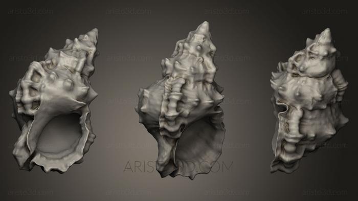 Stones and shells (ROCKS_0017) 3D model for CNC machine